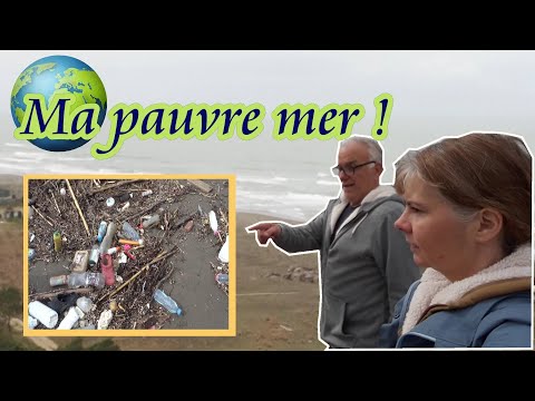 Pollution en Méditerranée ! Laisse de mer et inconscience humaine ... Désolant et triste !