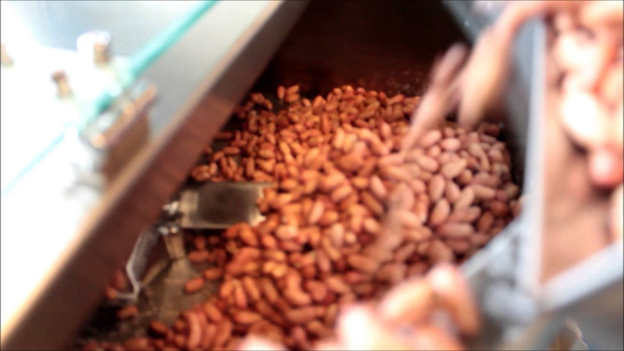 Nut Roasting Machine by Mandelprofi 