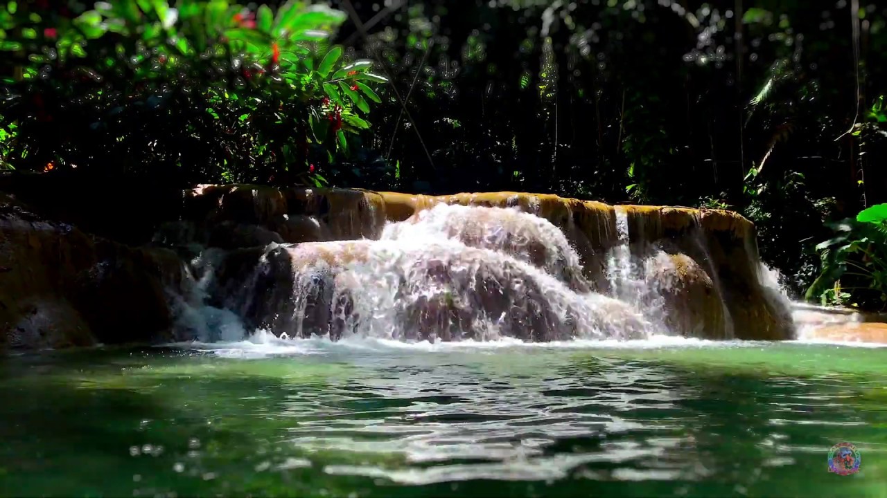 Jamaica Turtle River Falls Waterfalls Ocho Rios Jamaica Relaxing