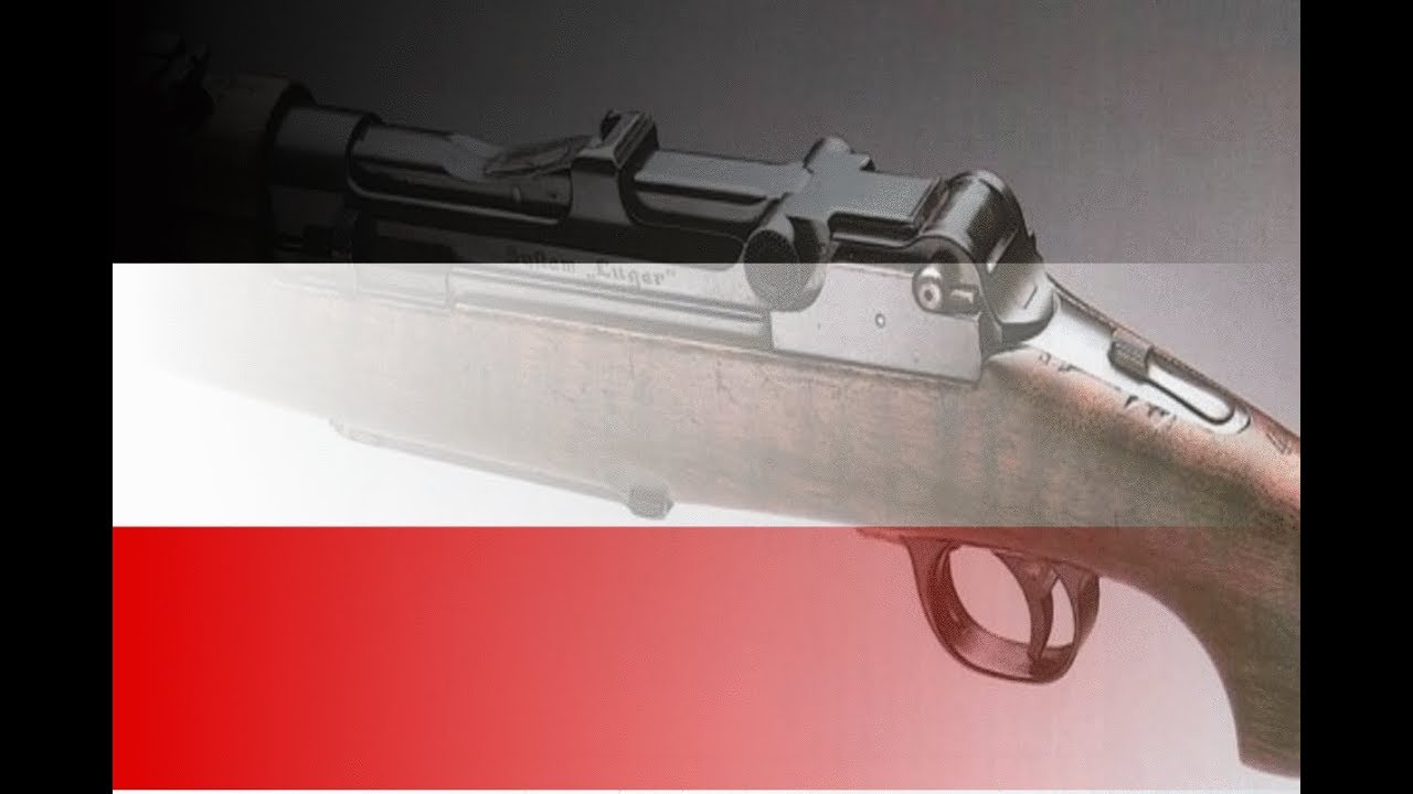 Guns that never Were: Selbstlader 1906