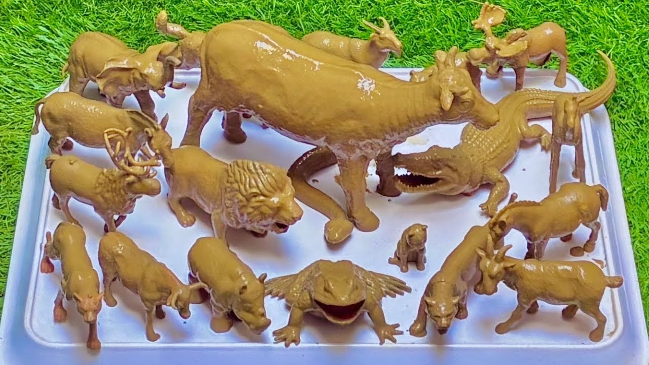 Epic Adventure! Exploring Farm & Wild Mountain Animals | Full Journey Tour