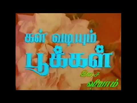 Vaanam Panneerai Thoovum  Kal Vadiyum Pookkal  Remastered audio song