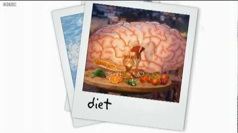 Look After Your Brain - Brainsmart - BBC
