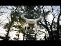 Watch This Before You Buy the DJI Phantom 4 Pro - Hands on Review