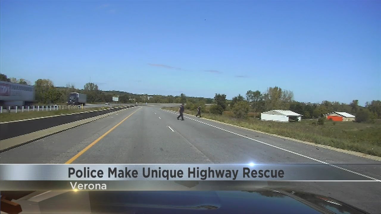 Police make unique highway rescue - YouTube
