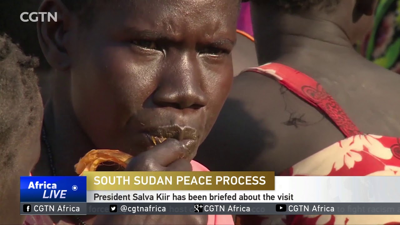 AU Peace and Security Council members in Juba for talks