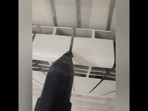 Комплексная уборка квартир