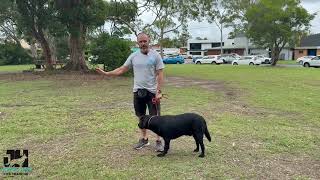Level 2 Advanced Obedience program prerequisite's