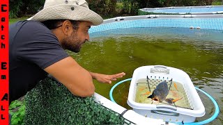 BUILDING a FLOATING Baby FISH NURSERY! by ZAK CATCH Em' 17,031 views 3 months ago 16 minutes