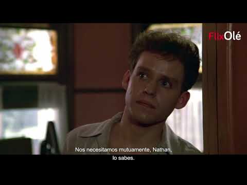 La decisión de Sophie (Alan J. Pakula, 1982)