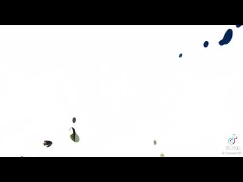 園長×ピコ太郎×黄猿