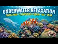 Peaceful Night Meditation and Gentle Underwater Echoes for Stress and Anxiety Relief