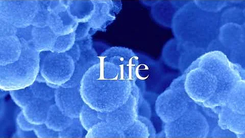 1.1 Deconversion: The God Concept