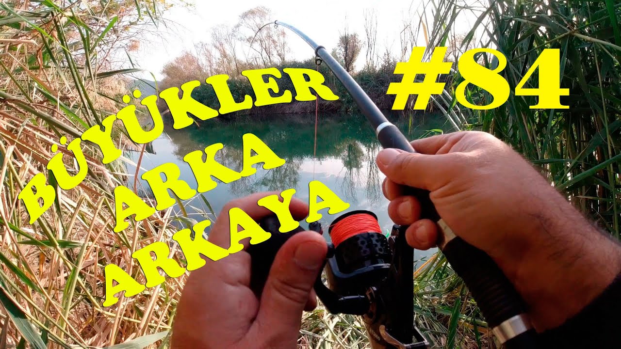 Огромная рыбалка. Охота на большого карпа. Как поймать рыбу в реке поплавковой леской.