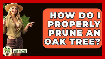 How Do I Properly Prune An Oak Tree? - The Plant Enthusiast