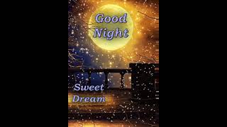 Good Night Sweet Dreams 🌃