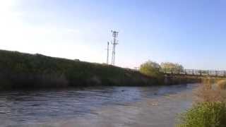 Tim Ve Siminin Su Aportları