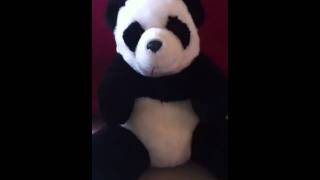 Farting Pandabear