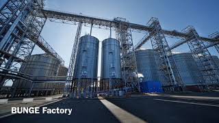 BUNGE Factory, Voronezh
