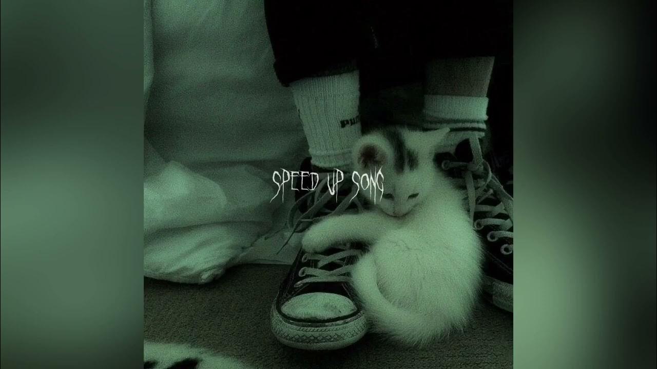 хлопай инстасамка новогодний ремикс