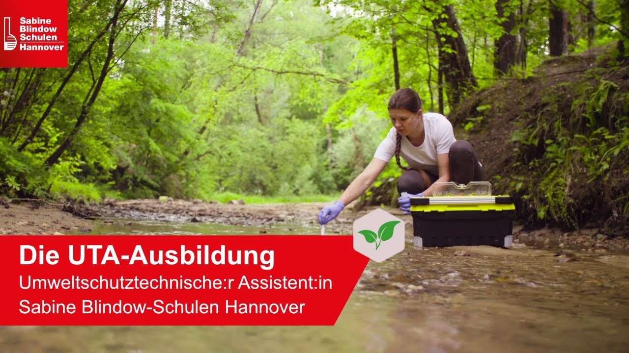schulen-hannover-profil-von-leinetalschulen-hannover