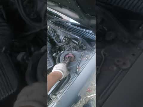 Как поднять кариба