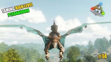 TAMING A HIGH LEVEL PTERANODON! | ARK Survival Evolved #14