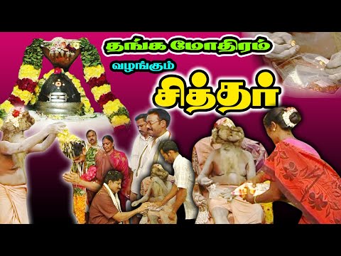 வேலை ஆட்களுக்கு I தங்க மோதிரம் வழங்கும் சித்தர் I மகாதேவமலை காங்குப்பம்