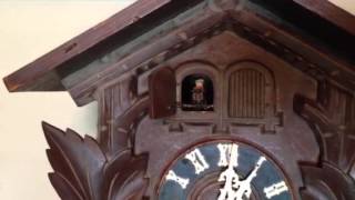 Cuckoo Clock Music