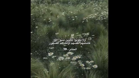قران كريم .#قران_كريم #صلوا_على_النبي #اللهم_صل_على_محمد_وال_محمد #صعدو_الفيديو#استغفر_الله#الحمدلله