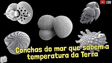 Como é calculada a temperatura da Terra?