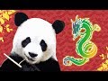 Chinese Animals | Animals for Kids | Wild Animals