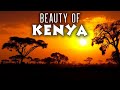 The Most Amazing Places in KENYA 🇰🇪: Top Destinations You Must Visit (Kenya Travel Guide)