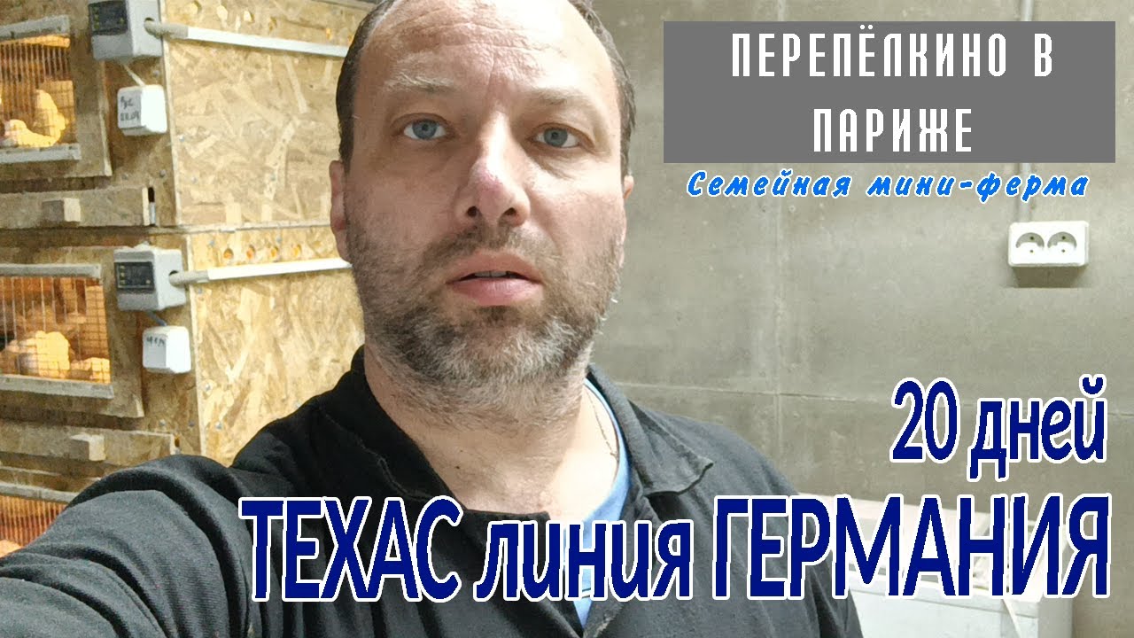 ТЕХАС ЛИНИЯ ГЕРМАНИЯ ВЕС В 20 ДНЕЙ - YouTube