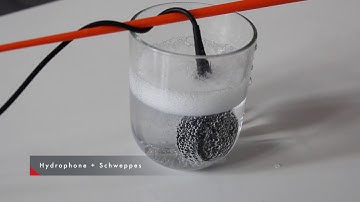 Noisevember #5 - Hydrophone + Schweppes