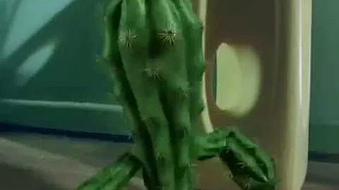 Huggies 'Cactus'