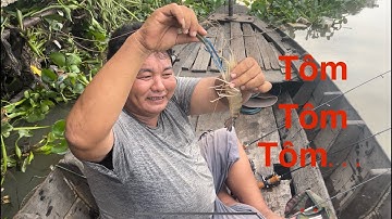 Một ngày câu tôm cảng Cái Cui