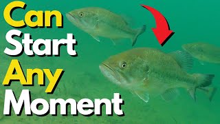 Always be READY For This in the Fall | Bass Fishing Tips screenshot 2