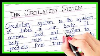 What circulatory system in english| Definition of circulatory system