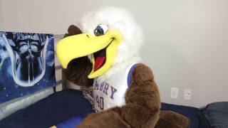Ernie the Eagle is Ernie the Student