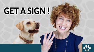 Three Hacks to Get a Sign from Pets on the Other Side | Animal Afterlife by Danielle MacKinnon 10,771 views 11 months ago 7 minutes, 1 second