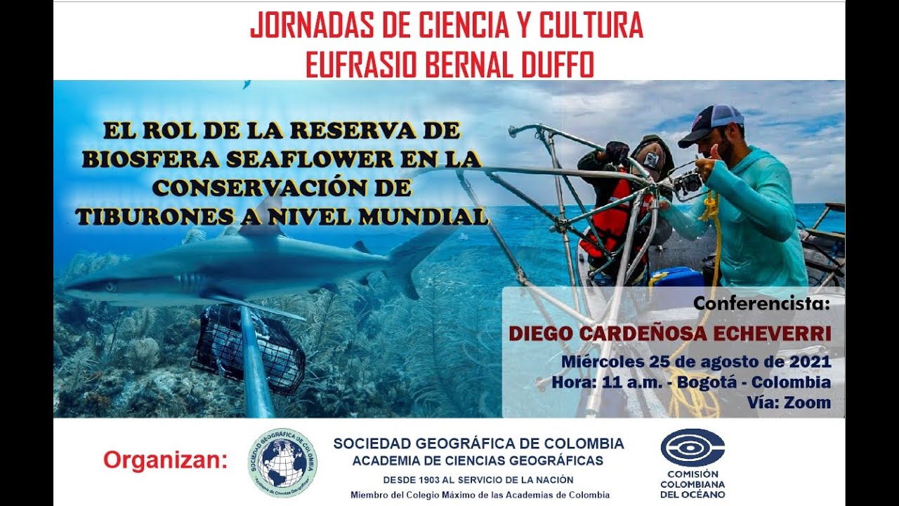 EL ROL DE SEAFLOWER EN LA CONSERVACIÓN DE TIBURONES A NIVEL MUNDIAL