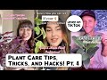 Plant care Tips, Tricks and Hacks Part 4 | Learn On TikTok