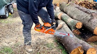 62CC 20” GTHAN $100 Amazon Chainsaw Eating Through Black Cherry Firewood!