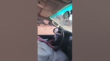 دحيم الحماد 1443ه تلاوة من سورة الأحزاب