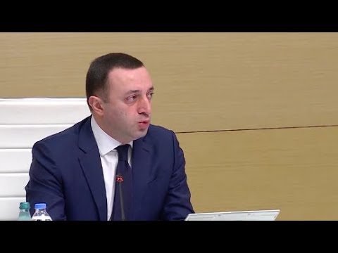 ირაკლი ღარიბაშვილი  200 ათას ადამიანს დასაქმდებას ჰპირდება