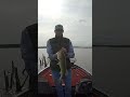 BIG Bass out of standing TIMBER! Oklahoma Bass Fishing
