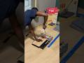 MANTISTOL Vinyl Flooring Cutter MANTISTOL Vinyl Flooring Cutter