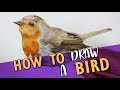 HOW TO DRAW A REALISTIC BIRD | Coloured Pencil Drawing Tutorial