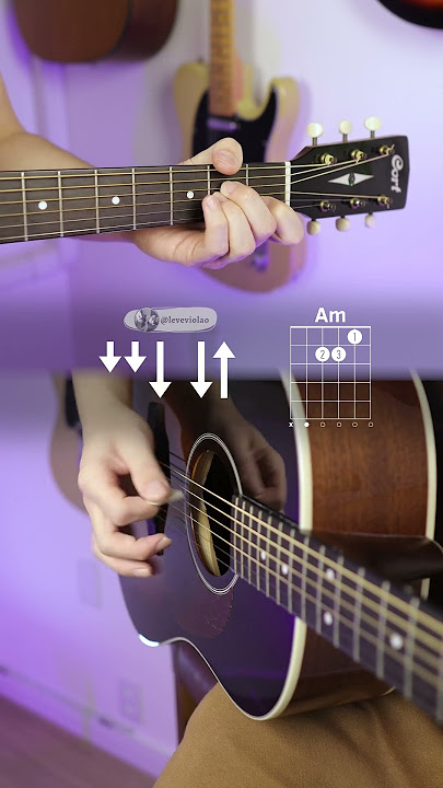 Dani California - Red Hot Chili Peppers | Chords and Strumming Pattern